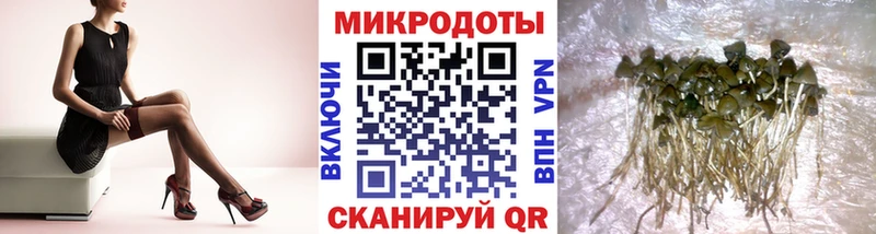 Галлюциногенные грибы GOLDEN TEACHER Соль-Илецк
