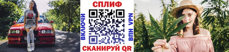 Бошки марихуана гибрид  ссылка на мегу   Соль-Илецк 